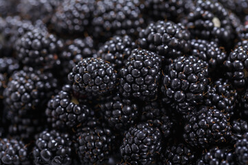 fresh blackberries as background