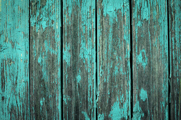 Fototapeta na wymiar Old natural weathered wooden planks with cracked blue paint background