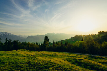 Fototapeta premium Spring sunset on alpine meadow in Switzerland