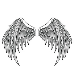 angel wings set