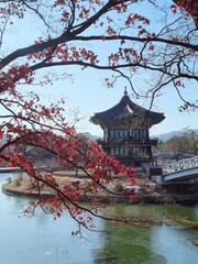 Gyeongbokgung Palace Garden