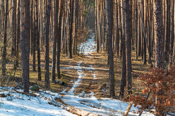 Dirt road with melting snow.