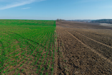 Cultivated farm field divided in half.