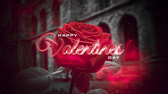 Valentine's Day Motion Typography with Rose