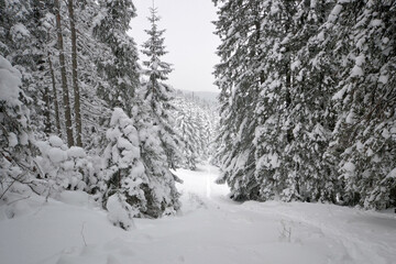 Fototapeta na wymiar Tatry, zagrożenie lawinowe, zima, śnieg, zamknięte szlaki, góry, niebezpiecznie,