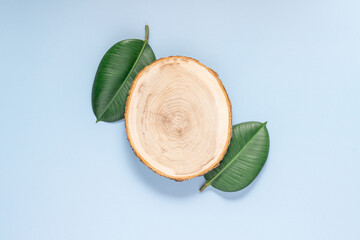Wooden podium stand with green ficusan leaves on blue background. Minimal background for product presentation, top view cosmetics