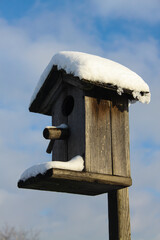 bird house on a branch