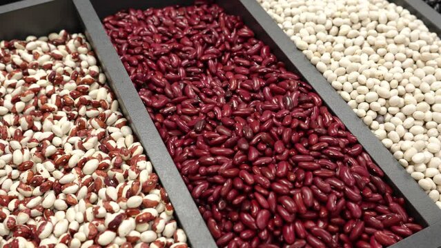 Different types of beans on the counter of the store. Red beans, White beans, Shell beans. Legumes in boxes on the counter of the store. High quality 4k footage