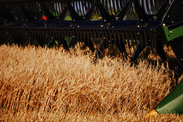 Agricultural combine harvester in the field during harvest ripe wheat. Combine working on a wheat...