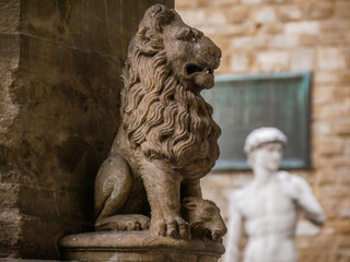 lion statue which represents the symbol of Florence, in the background the statue of David on Piazza della Signoria - 568463335