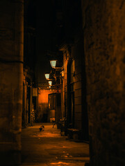 night street in the city