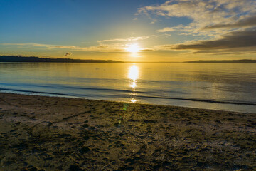 Golden Puget Sound Sunset