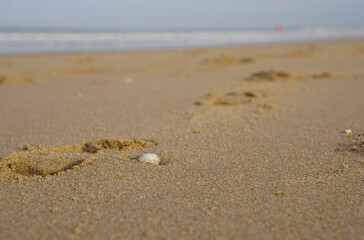 Spuren im Sand