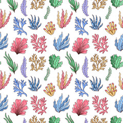 Hand drawn seamless pattern with seaweed colorful underwater ornament on white background © Svetlana