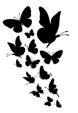 Flock of silhouette black butterflies on white background