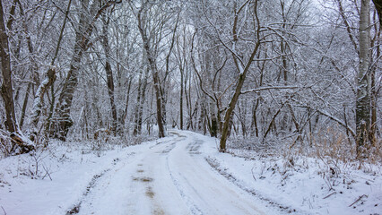 Zmny landscape, snow, beauty, nature.