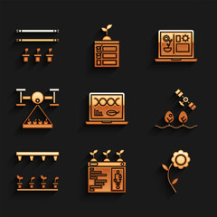 Set Genetic engineering modification, Smart farming technology, Flower, with drone, Automatic irrigation sprinklers, and bulb and plant icon. Vector