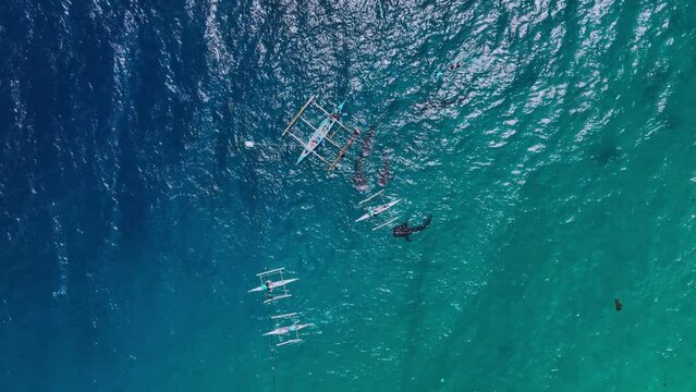 Snorkeling With Rare Whale Sharks On Cebu Island, Philippines, Aerial View
