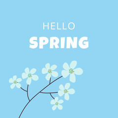 Hello spring text vector banner greetings design with flowers branch in blue background.