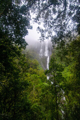 Wairere Falls, Matamata, New Zealand