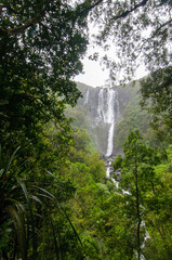 Obraz premium Wairere Falls, Matamata, New Zealand