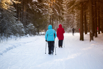 Fototapeta na wymiar Nordic walking in winter in the forest.A walk in the winter forest.