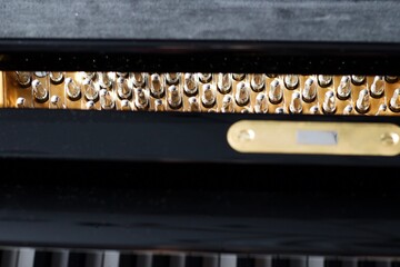 close up of inside a piano screws black and gold