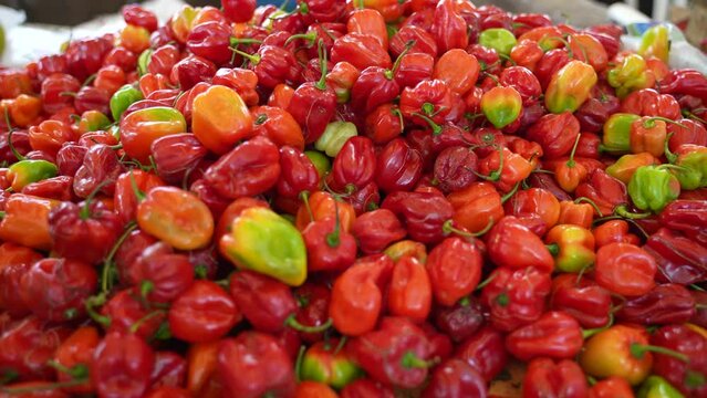 Large pile of shiny glossy Scotch Bonnet or Habanero peppers at a local indoor farmers market in Mexico.