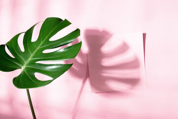 Tropical green Monstera leaves and  blank paper sheet on pastel pink table background. Flat lay, top view, copy space