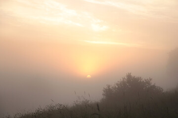 Fototapeta na wymiar Morning rural landscape with fog.