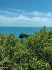 Fototapeta premium Sea view through tree branches . Blue Lagoon 