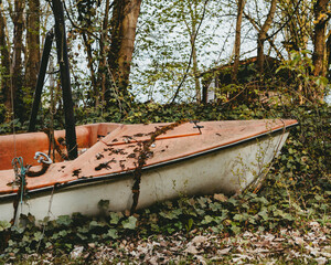 Stranded, a capsized small sailboat rests on the serene forest lake shore, gradually overtaken by...