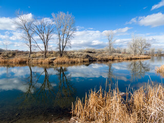 High desert winter landscape in western Colorado 