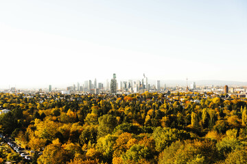 Admire the fusion of urban and natural landscapes with Frankfurt's skyline set against a colorful autumn forest - obrazy, fototapety, plakaty