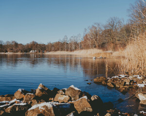 A tranquil winter lake scene is bathed in the warmth of the sun, creating a serene atmosphere
