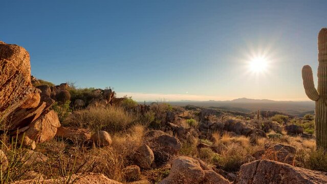 Timelapse/Hyperlapse of sunset behind iconic Arizona cactus