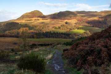 Muddy path through fields in golden winter light, Scotland