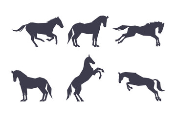 Black Silhouettes of Running Horses for Equestrian Sport Vector Set