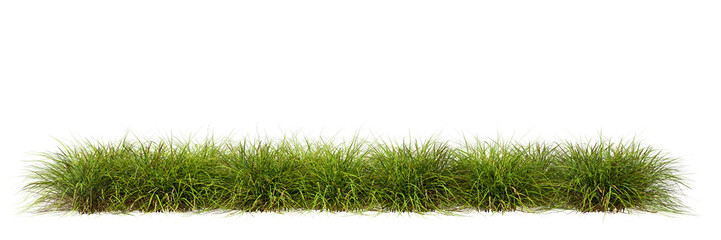 Meadow grass row prairie cutout transparent background 3d rendering png file - obrazy, fototapety, plakaty