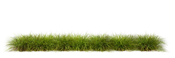 Foto op Plexiglas Meadow grass row prairie cutout transparent background 3d rendering png file © Krit