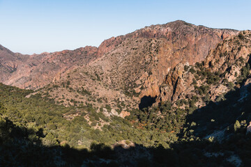 Parc national de Big Bend au Texas. Paysage montagneux représentant une montagne rocheuse ainsi que de la végétation au premier plan sur la randonnée  Lost Mine Trail.