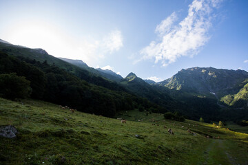 Summer in Uelhs Deth Joeu waterfall, Val D Aran, Spain