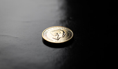 Münze Goldstück dänische Krone mit Konterfei der Königin Makro