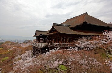 Morning scenery of majestic Kiyomizu-dera Temple in Kyoto, Japan, with a view of the famous wooden...