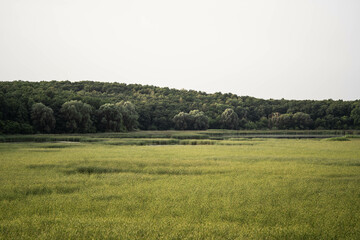 Fototapeta premium Incredibly beautiful bright panorama of nature in the wild