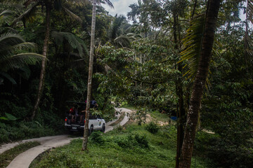 jeep cruising, Jungle safari © kristina