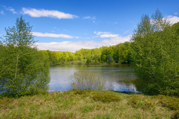 Fototapeta na wymiar landscape with lake. forest on the hill beneath a sky with fluffy clouds. sunny weather in spring