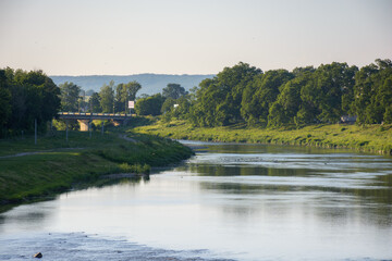 river uzh at sunrise. trees on the grassy embankment in morning light. bridge in the distance