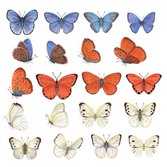 Set of watercolor different blue, orange, white butterflies isolated on white background. Perfect for wallpaper, print, textile, nursery, scrapbooking, wedding invitation, banner design, postcards