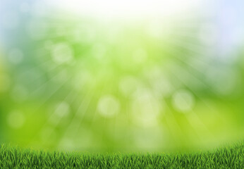 Nature Background With Grass And Bokeh